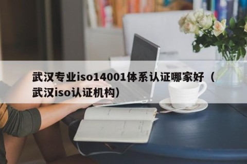 武汉专业iso14001体系认证哪家好（武汉iso认证机构）