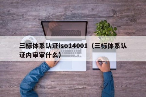 三标体系认证iso14001（三标体系认证内审审什么）