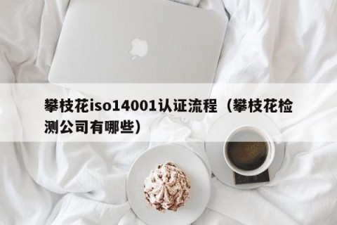 攀枝花iso14001认证流程（攀枝花检测公司有哪些）