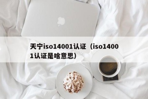 天宁iso14001认证（iso14001认证是啥意思）