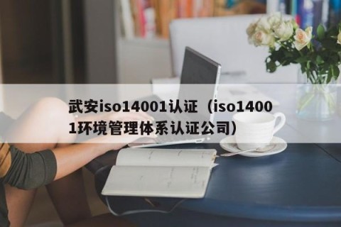 武安iso14001认证（iso14001环境管理体系认证公司）