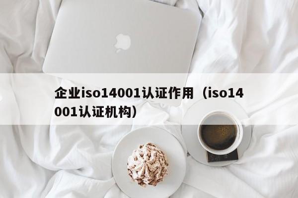 企业iso14001认证作用(iso14001认证机构)